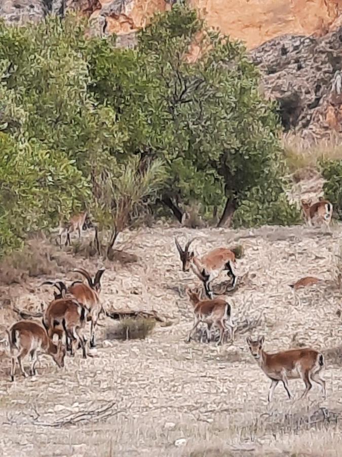 Cortijo El Chorreadero En Parque Natural Sierra De Cazorla Los Rosales  Zewnętrze zdjęcie
